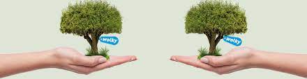 Trees for All.jpeg